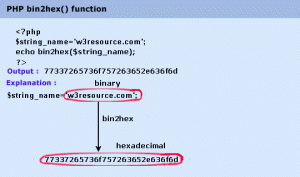 bin2hex函数